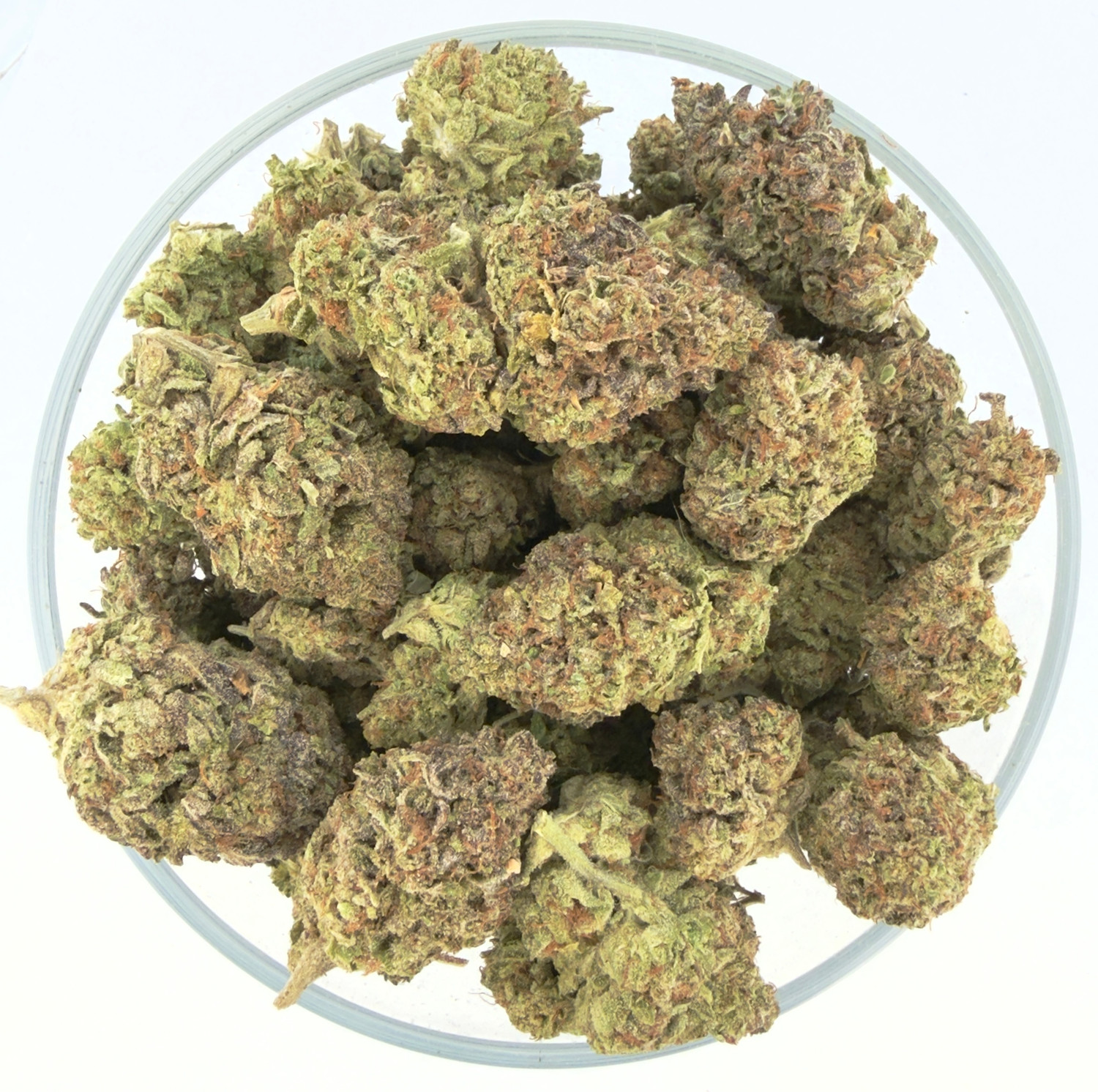 THCa Buds & Flower -Light Dep - Jet Fuel Gelato 7G