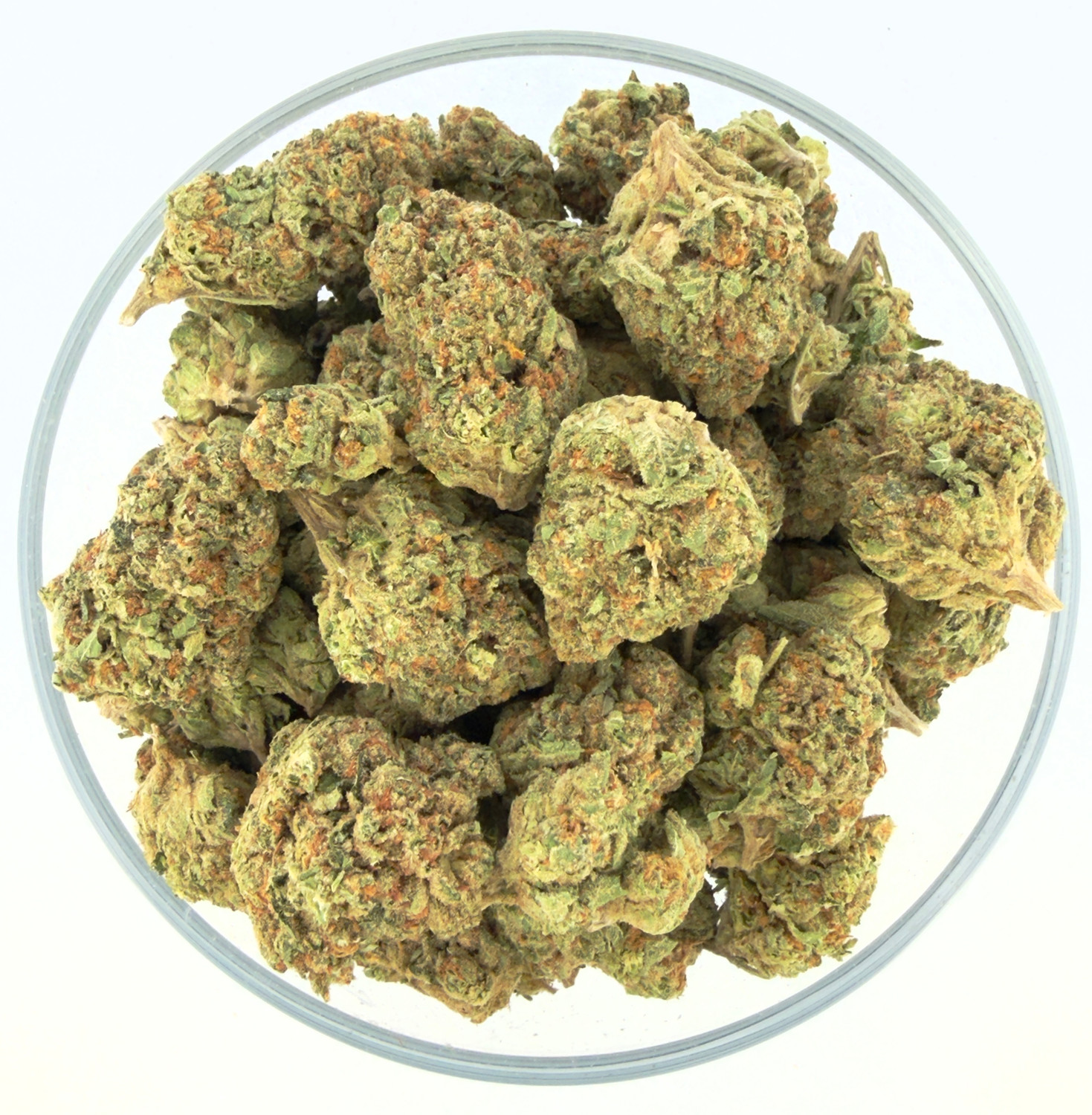 THCa Buds & Flower -Light Dep - Platinum Puff 7G