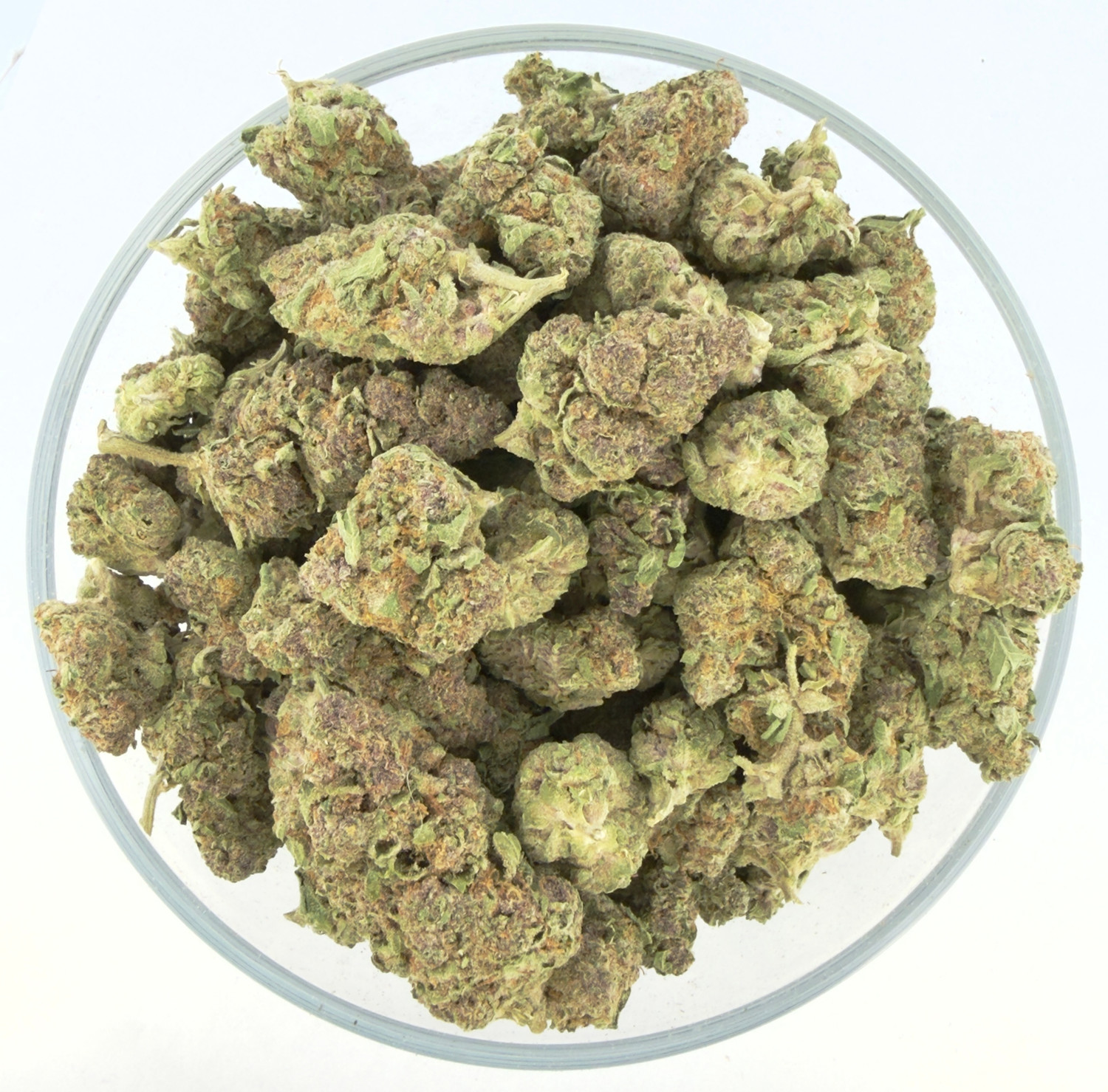 THCa Buds & Flower -Light Dep - Trop Summer 7G