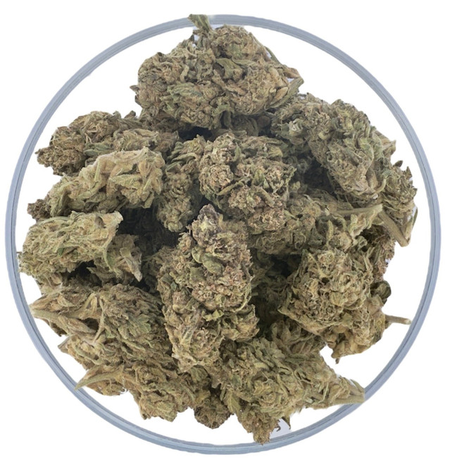 THCa Buds & Flower -Light Dep - Peanut Butter Breath 7G THCa Buds & Flower -Light Dep - Peanut Butter Breath 7G