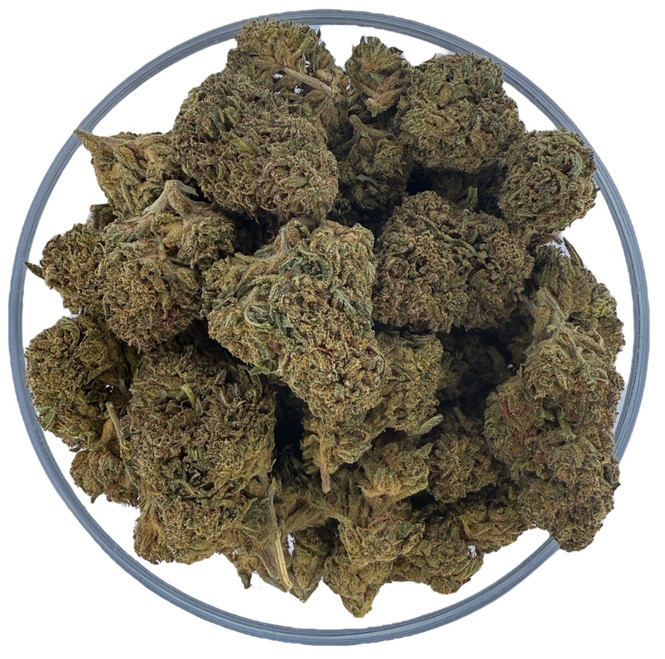 THCa Buds & Flower -Light Dep - Biscotti 2 "B2" 7G