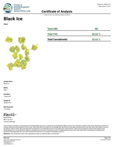 THCa Buds & Flower -Light Dep - Black Ice 7G