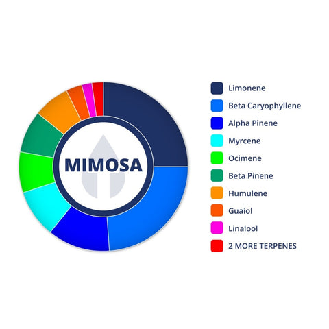 mimosa thco tanks terpenes