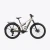 Amflow TL Pre-order