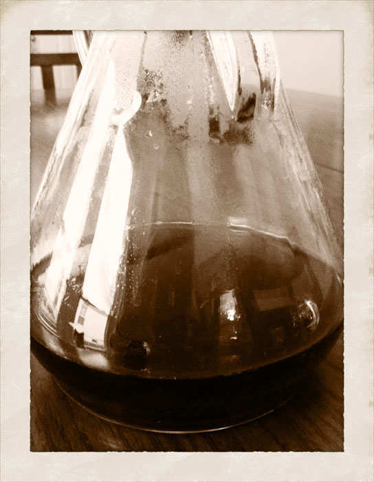 picture of brewed coffee from the Kone 2