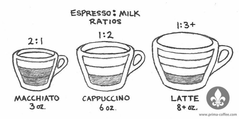 espresso-and-milk-for-beginners-prima-coffee-equipment