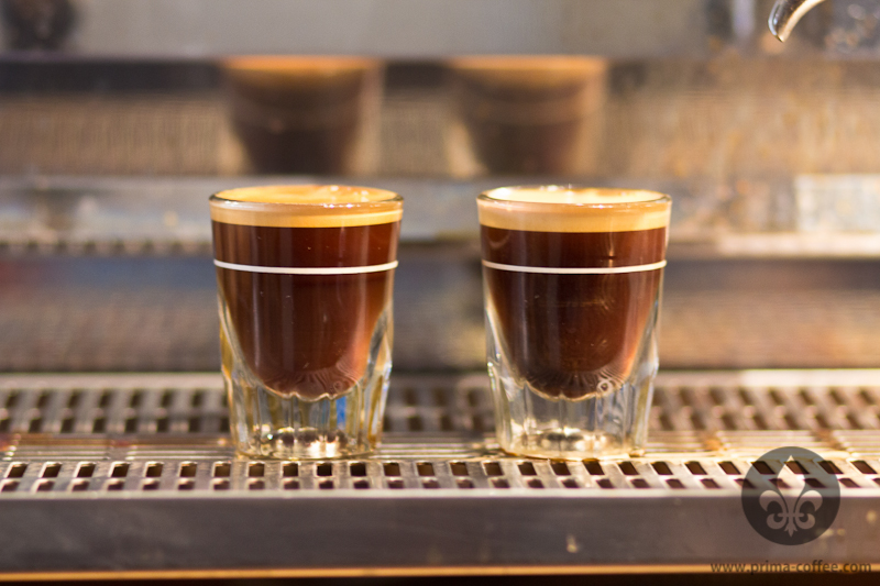 https://cdn11.bigcommerce.com/s-6h7ychjk4/content/forte-mini-espresso-shots-lg.jpg