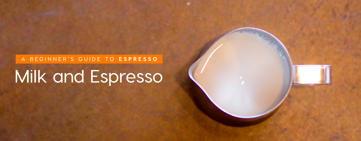 Milk and Espresso for Beginners