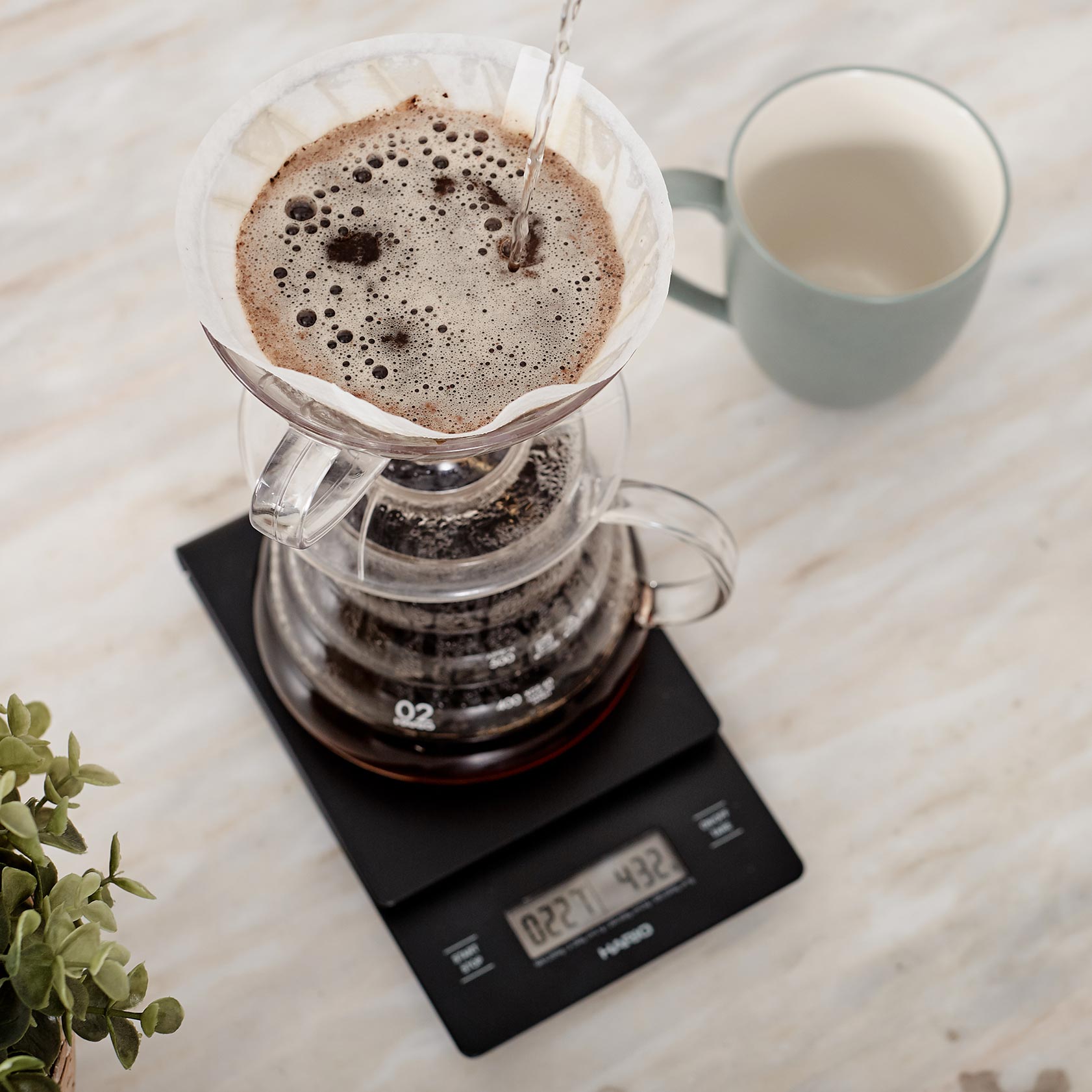 Hario V60 Pour Over Brewer