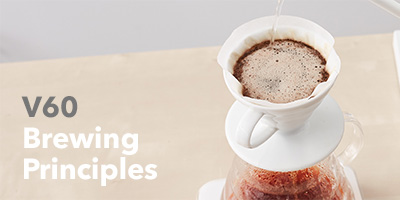 v60 brewing principles