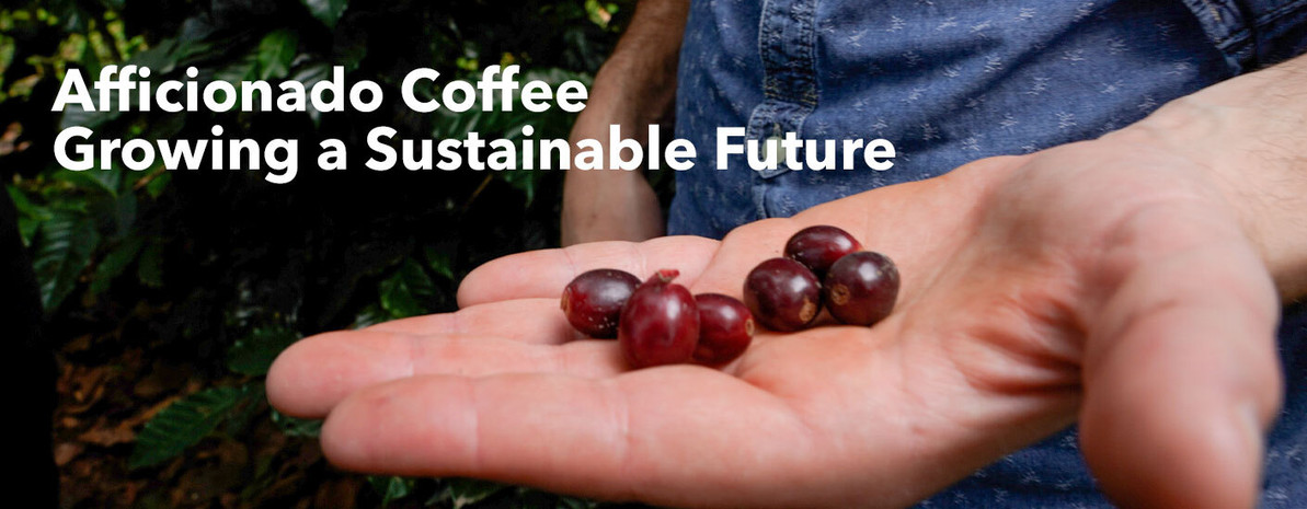 Growing Sustainability with Afficionado Coffee's Peter Turso 