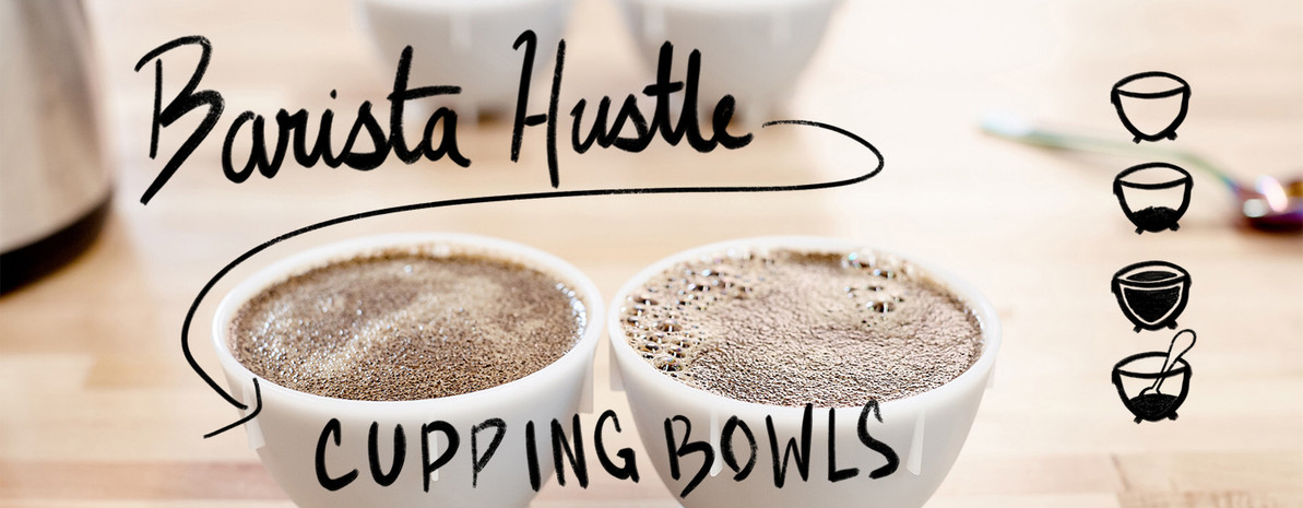 Video Overview | Barista Hustle Cupping Bowls