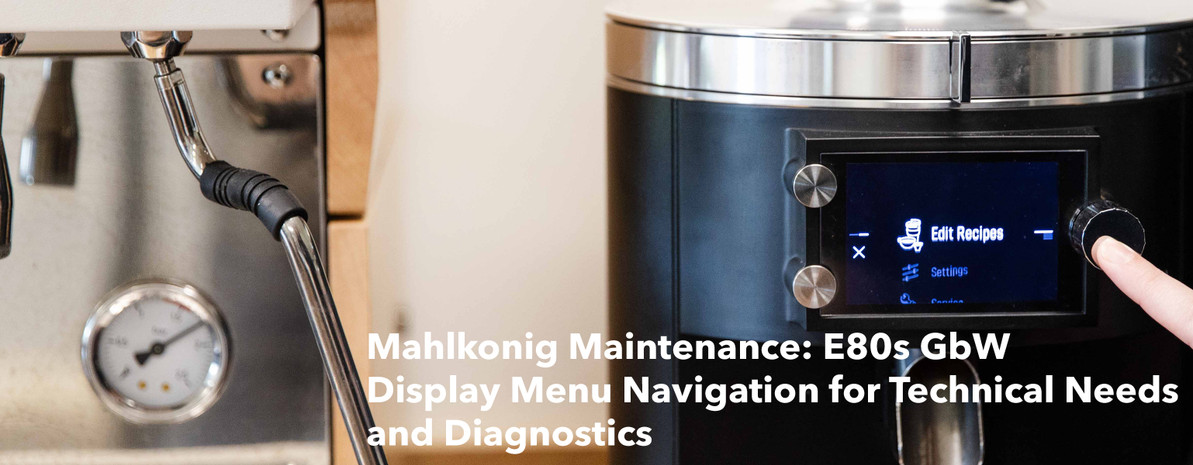 Mahlkonig Maintenance | E65S GbW and E80S GbW Menu Navigation for Diagnostics