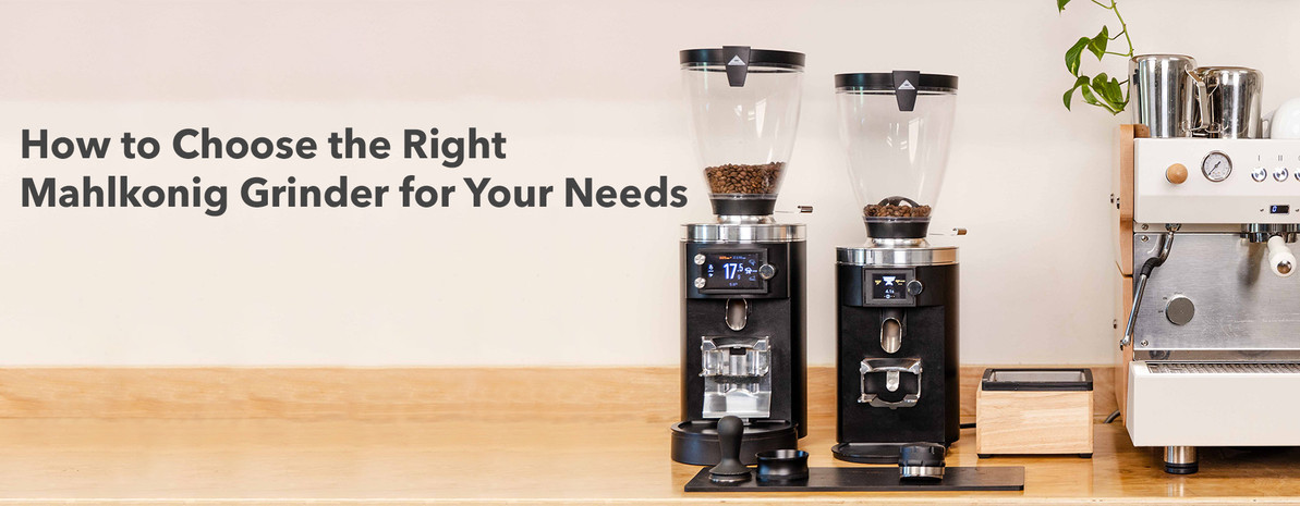 How to Choose the Right Mahlkonig Grinder for Your Needs
