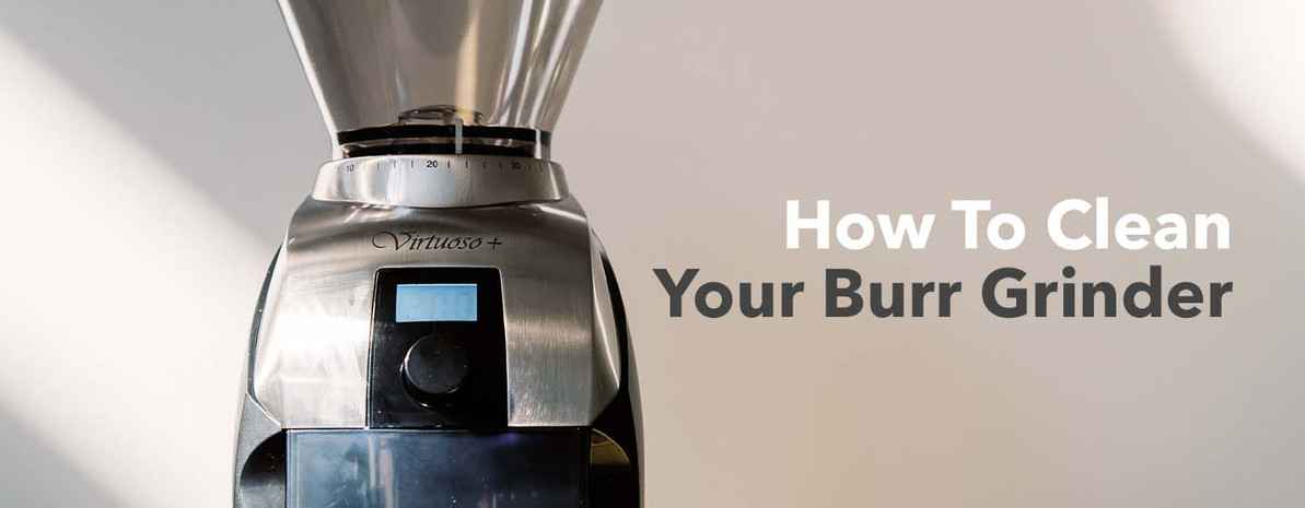 How to clean the Breville Burr Grinder ⋆ Unicorn Besties