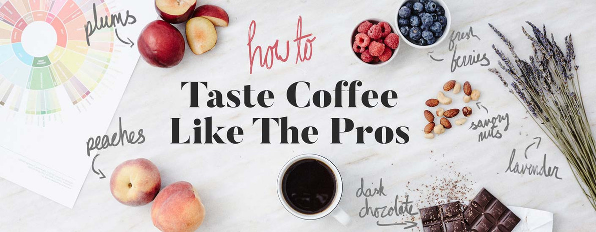 Coffee 101: How to Taste Coffee Like the Pros