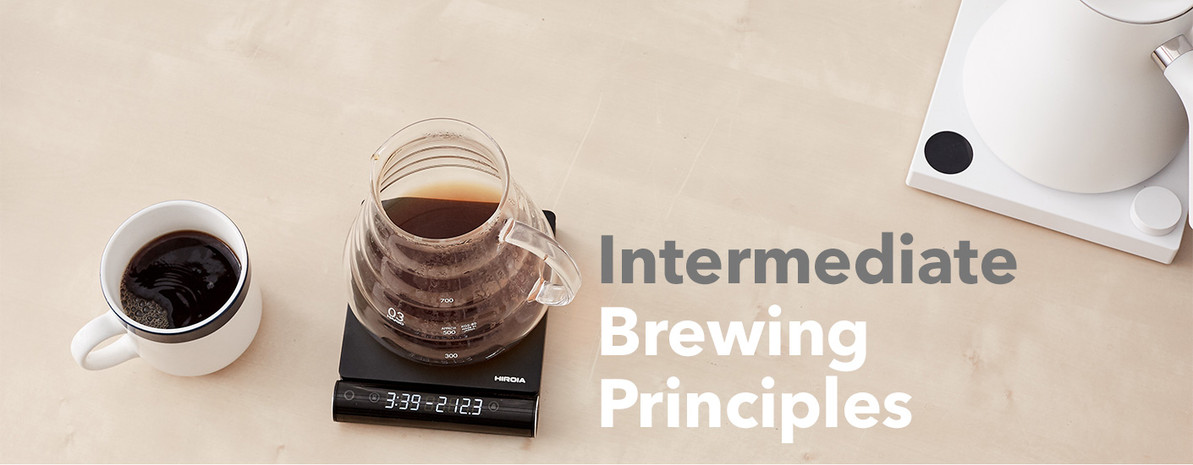 Intermediate Coffee Brewing Principles