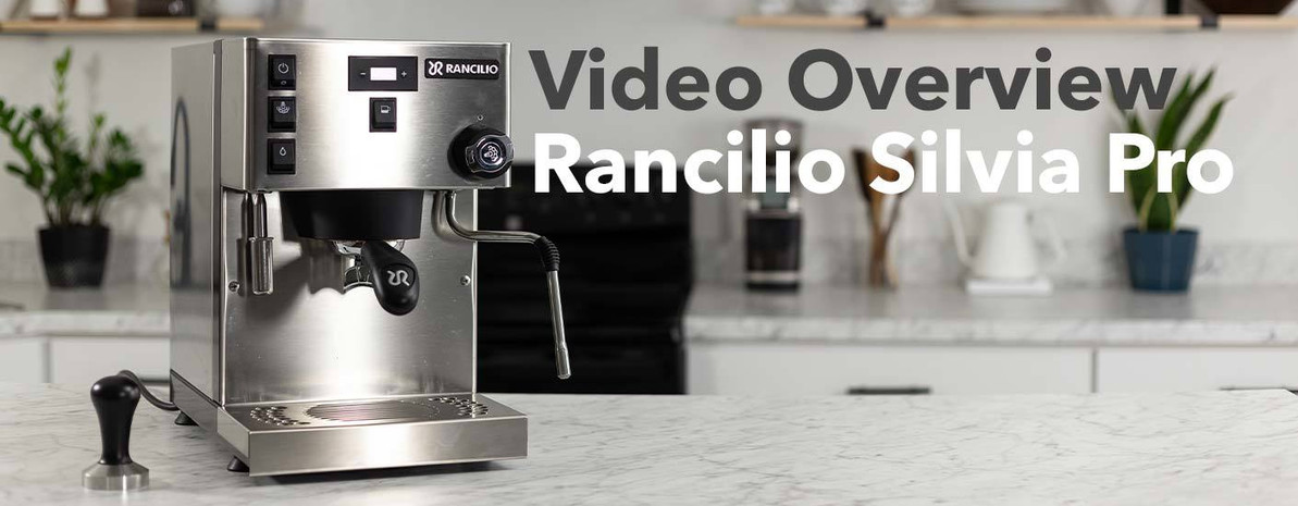 rancilio silvia base