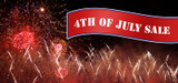 4th of July Filter Sale - Brewed in the USA