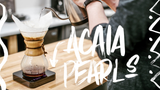 Video Overview | Acaia Pearl Model S Brewing Scale