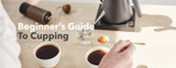 The Beginner's Guide to Cupping