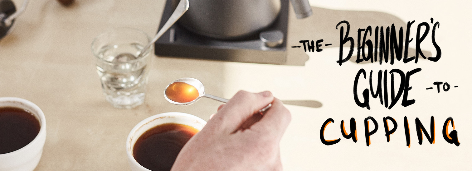 The Beginner's Guide to Cupping