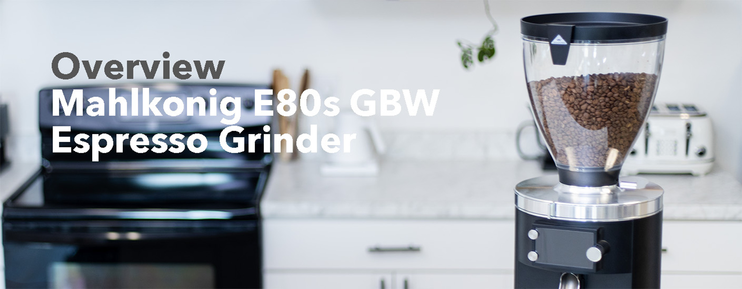 Mahlkonig E80S GbW Overview