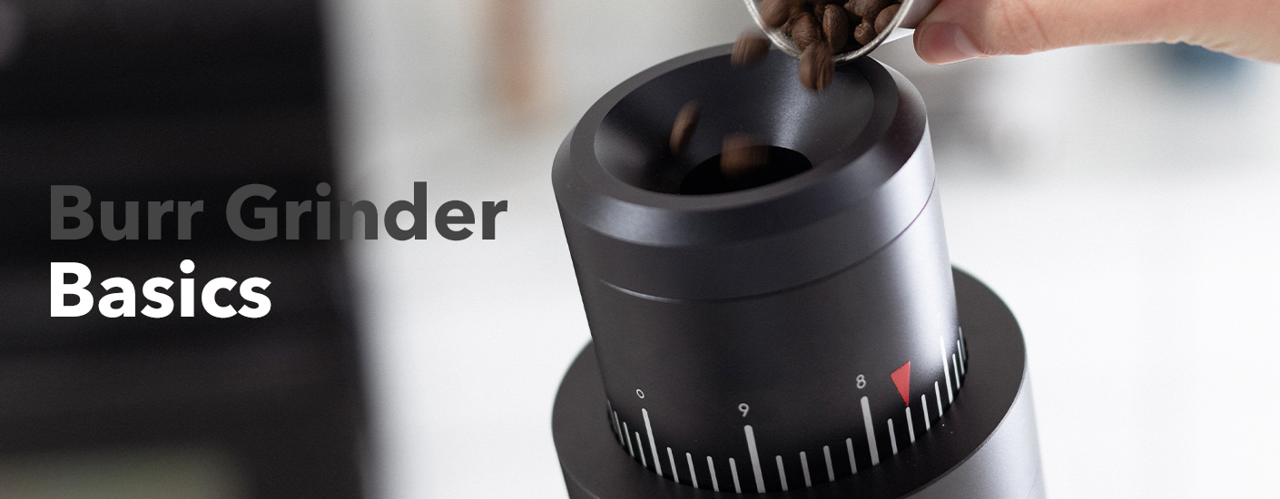 Burr Coffee Grinder – EcoLogical Method