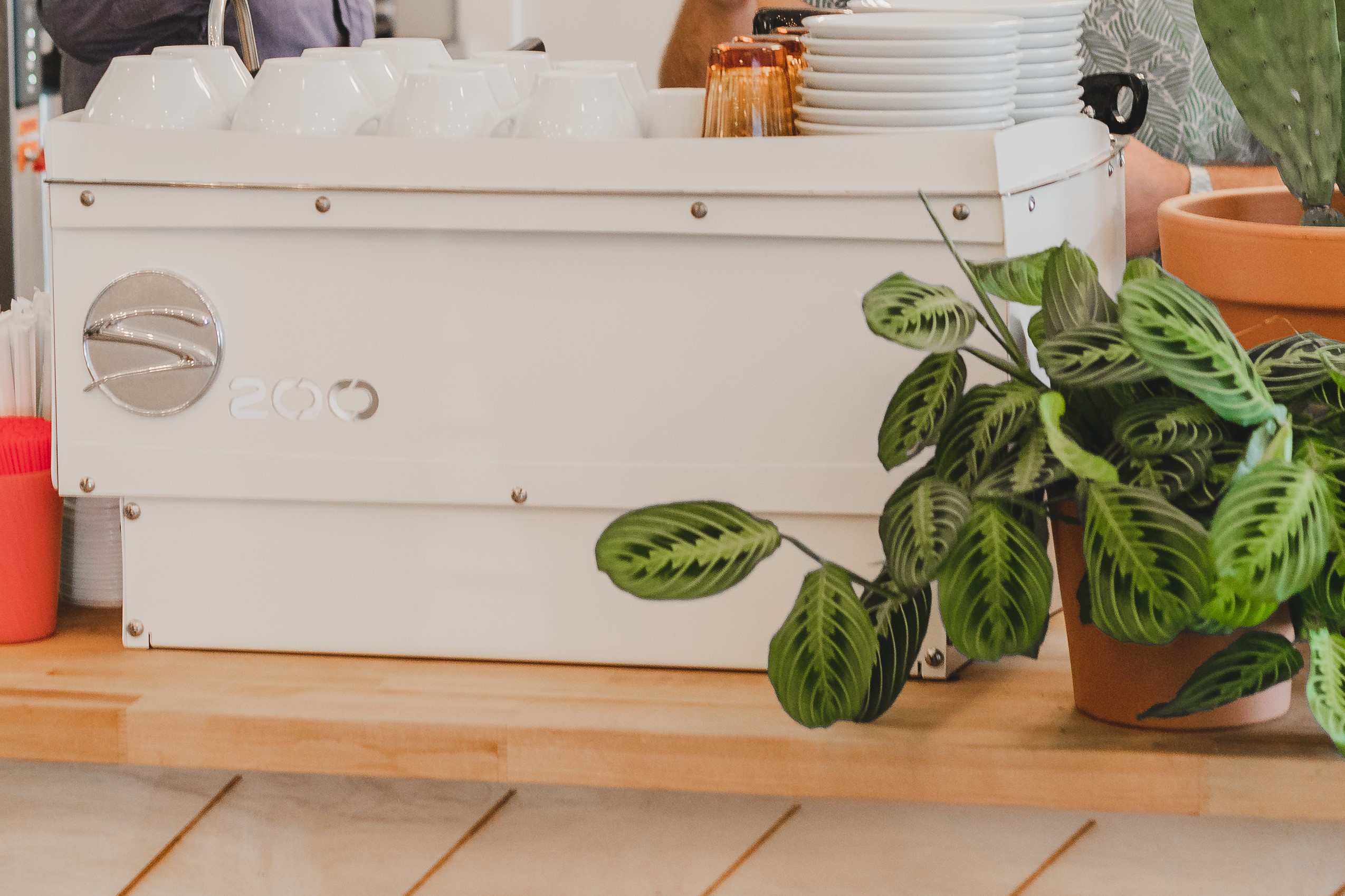 Synesso S espresso machine on a café bar