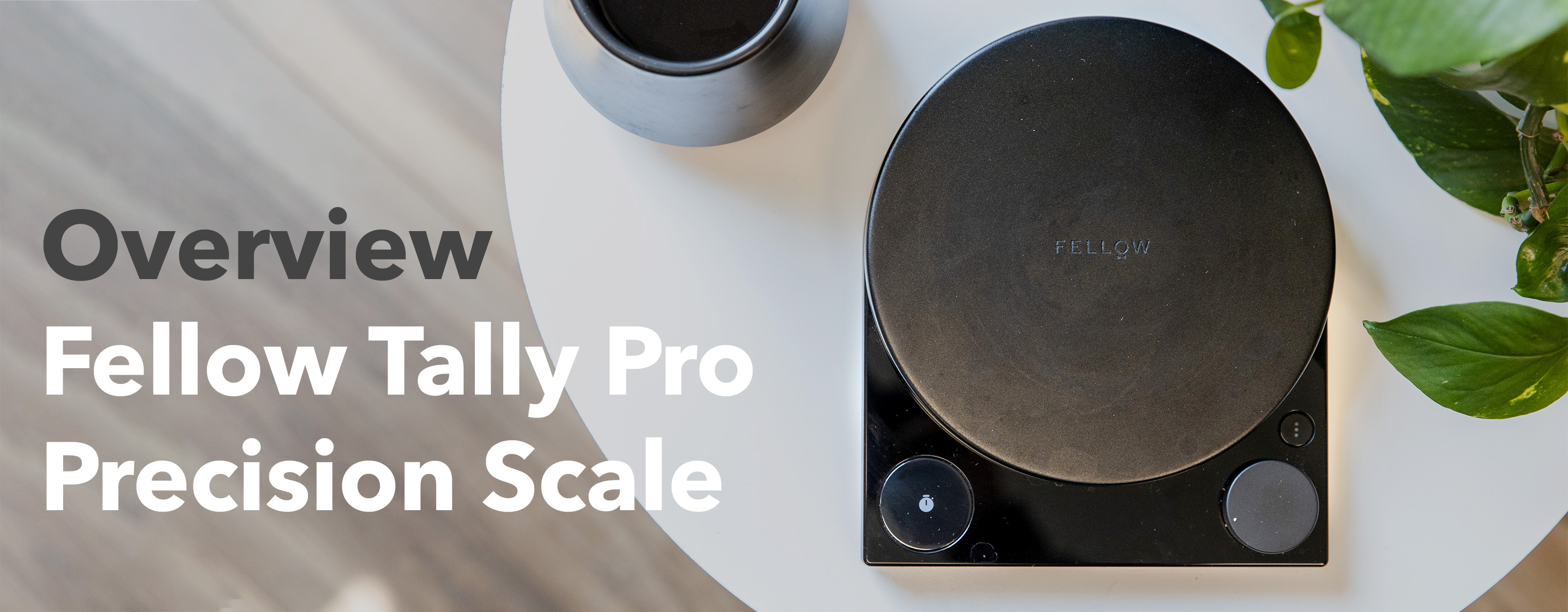 Fellow Tally Coffee Scale + Reviews