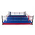 WORLD Boxing Lowboy Training Ring (With Flooring) 22' X 22'