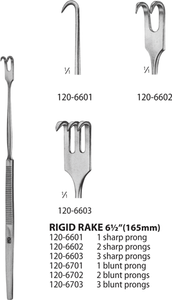 Rigid Rake