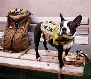 Kilo Niner Tactical MOLLE Dog Vest Kilo Niner Tactical MOLLE Dog Vest