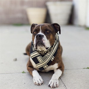 Kilo Niner Tactical MOLLE Dog Vest