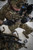 Ferro Concepts Adapt MOLLE Panel Ferro Concepts Adapt MOLLE Panel