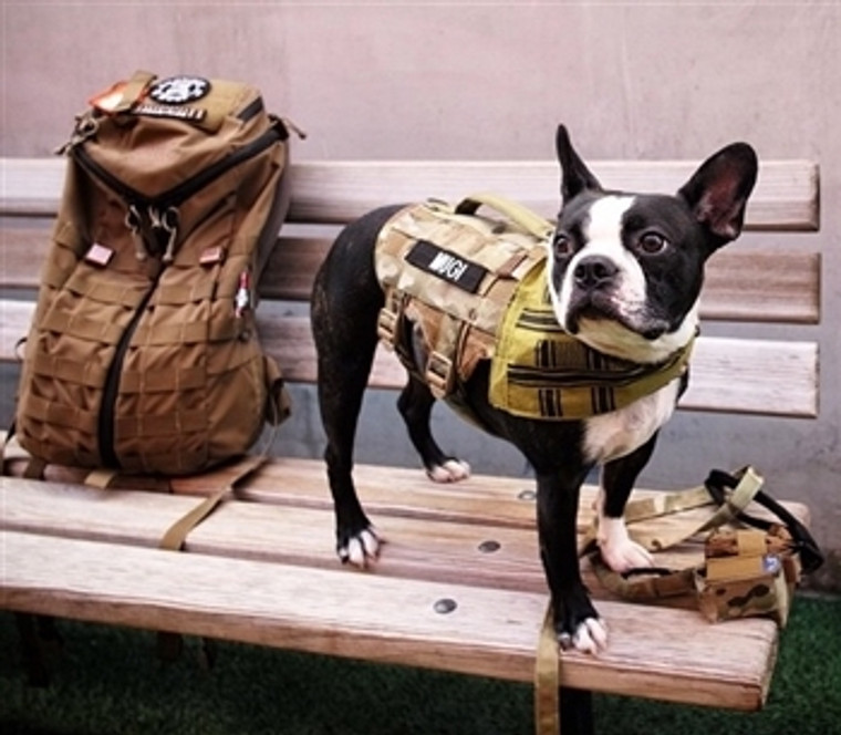 Tactipup - Over-Built Dog Gear - Made in the USA  Dog gear, Tactical dog  gear, Boston terrier funny
