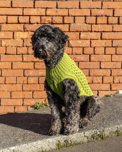Madra Dog Jacket Knitting Pattern - PDF