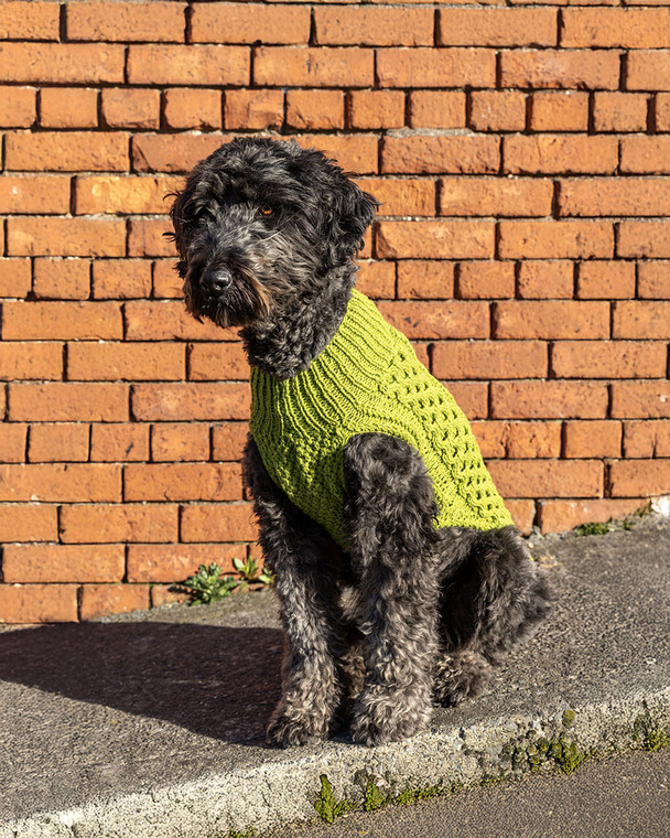 Yarn Vibes 100% Organic Irish Knitting Kit: Madra Dog Jacket