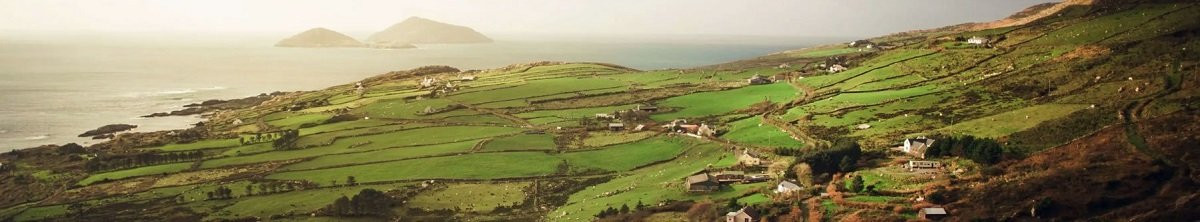 Fields in Ireland