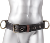 Positioning Belt w/ 2 Side D-Rings | Stainless steel grommets | Norguard |