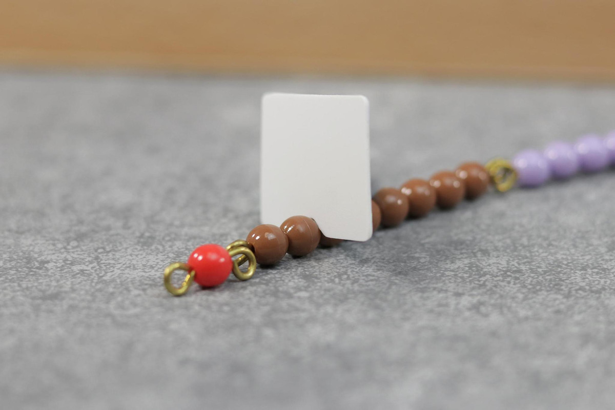 Snake Game Addition Kit 2 - ETC Montessori Online