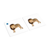African Animal Matching Cards (IT-0010)