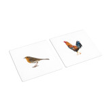 Butterfly - Bird Sorting Cards (IT-0070) Butterfly - Bird Sorting Cards (IT-0070)