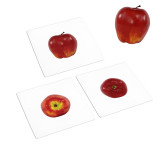 Fruits to Object Activities Set 1 (IT-0084)