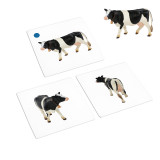 Farm Animals to Object Activities (IT-0088)