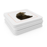 Mammals - Matching Cards