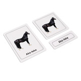 Horses 3 Part Cards
