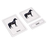 Parts of a Horse 3 Part Cards