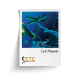 Cell Division - Meiosis (ELC-4012)