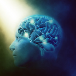 Neuroplasticity On Montessori Education:  Sensitive Learning Periods in Childhood Neuroplasticity On Montessori Education:  Sensitive Learning Periods in Childhood